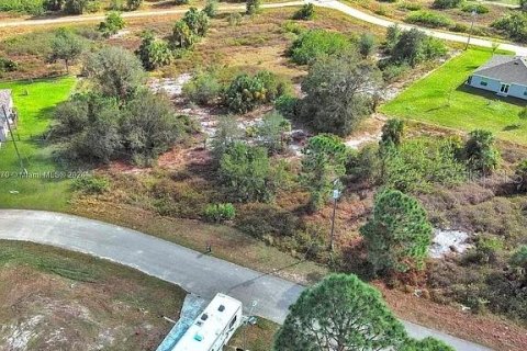 Land in Lehigh Acres, Florida № 2161931 - photo 12