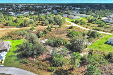 Land in Lehigh Acres, Florida № 2161931 - photo 3