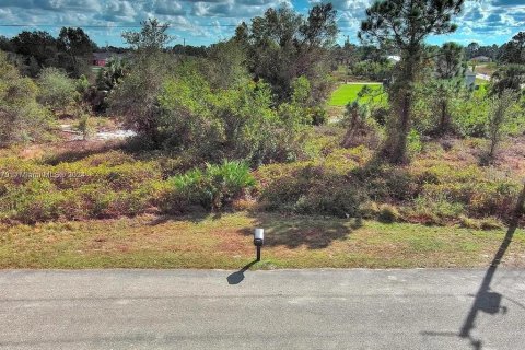 Land in Lehigh Acres, Florida № 2161931 - photo 14