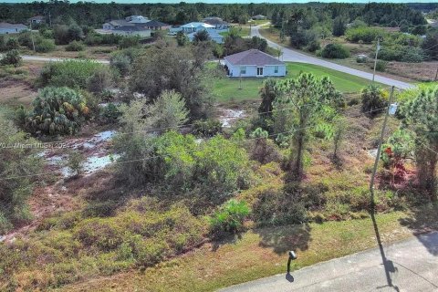 Land in Lehigh Acres, Florida № 2161931 - photo 13