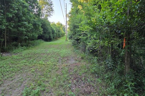 Land in Alachua, Florida № 2097534