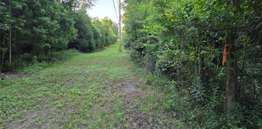 Terrain à Alachua, Floride № 2097534