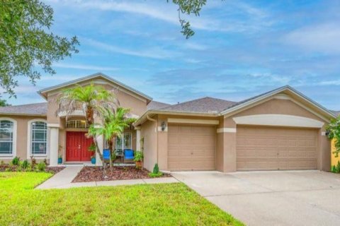 House in Fish Hawk, Florida 4 bedrooms, 269.79 sq.m. № 2201521