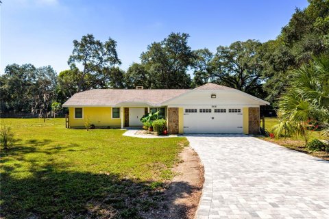 House in Mount Dora, Florida 3 bedrooms, 183.95 sq.m. № 2305999