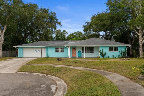 Villa ou maison à Tarpon Springs, Floride 4 chambres, 149.39 m2 № 2349889