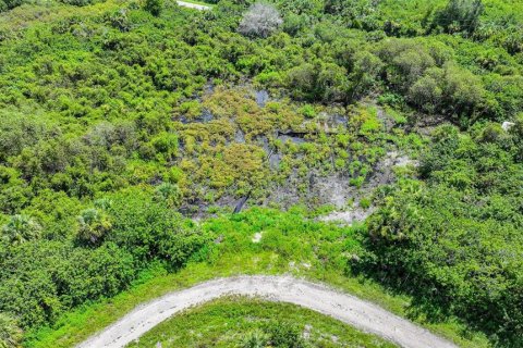 Land in Lehigh Acres, Florida № 2164118 - photo 21