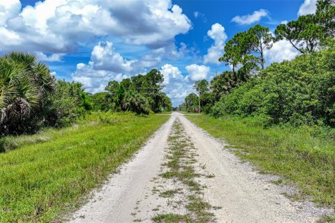 Land in Lehigh Acres, Florida № 2164118 - photo 2