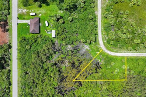 Land in Lehigh Acres, Florida № 2164118 - photo 28