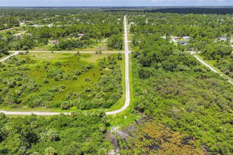 Land in Lehigh Acres, Florida № 2164118 - photo 27
