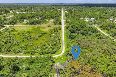 Land in Lehigh Acres, Florida № 2164118 - photo 26