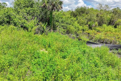 Land in Lehigh Acres, Florida № 2164118 - photo 13