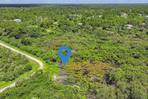 Land in Lehigh Acres, Florida № 2164118 - photo 24