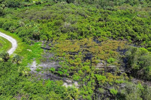 Land in Lehigh Acres, Florida № 2164118 - photo 23