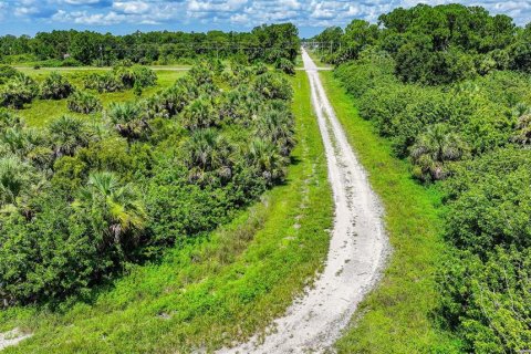 Land in Lehigh Acres, Florida № 2164118 - photo 17