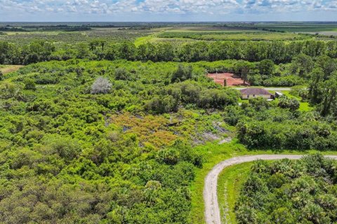 Land in Lehigh Acres, Florida № 2164118 - photo 10