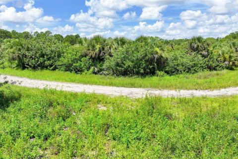 Land in Lehigh Acres, Florida № 2164118 - photo 12