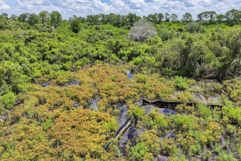 Land in Lehigh Acres, Florida № 2164118 - photo 16