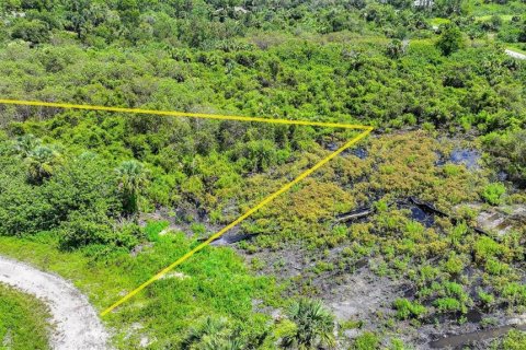 Land in Lehigh Acres, Florida № 2164118 - photo 18