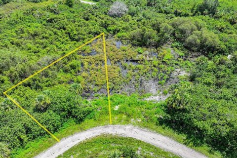 Land in Lehigh Acres, Florida № 2164118 - photo 20