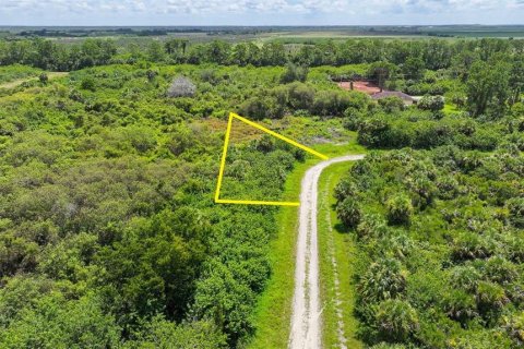 Land in Lehigh Acres, Florida № 2164118 - photo 11