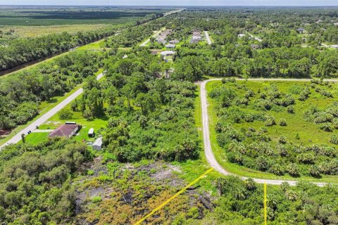 Land in Lehigh Acres, Florida № 2164118 - photo 7