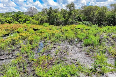 Land in Lehigh Acres, Florida № 2164118 - photo 15