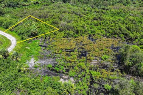Land in Lehigh Acres, Florida № 2164118 - photo 22