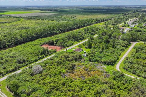 Land in Lehigh Acres, Florida № 2164118 - photo 6