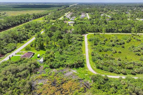 Land in Lehigh Acres, Florida № 2164118 - photo 8