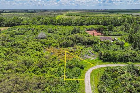 Land in Lehigh Acres, Florida № 2164118 - photo 9