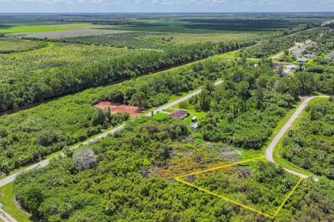 Land in Lehigh Acres, Florida № 2164118 - photo 5