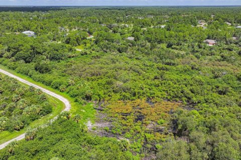 Land in Lehigh Acres, Florida № 2164118 - photo 25