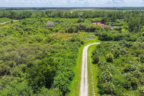 Land in Lehigh Acres, Florida № 2164118 - photo 3