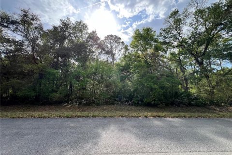 Land in Chiefland, Florida № 2159216 - photo 6