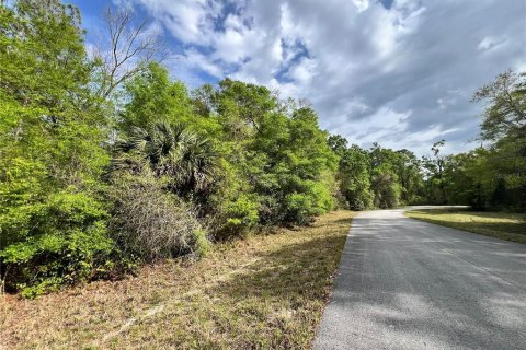 Land in Chiefland, Florida № 2159216 - photo 8