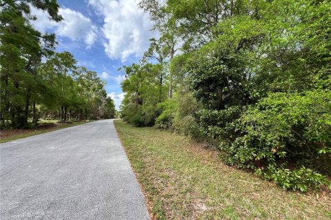 Land in Chiefland, Florida № 2159216 - photo 12