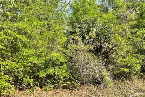 Land in Chiefland, Florida № 2159216