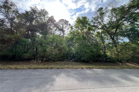 Land in Chiefland, Florida № 2159216 - photo 4
