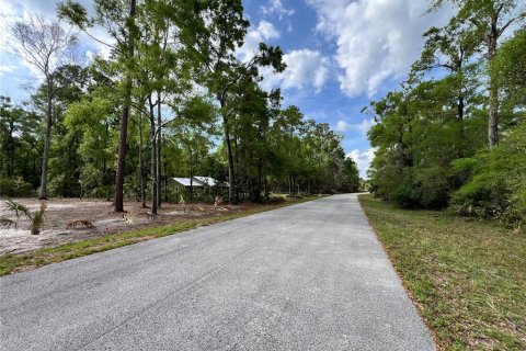 Land in Chiefland, Florida № 2159216 - photo 10