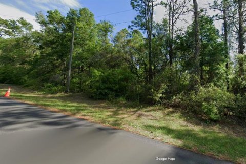 Land in Citrus Springs, Florida № 2164719 - photo 2