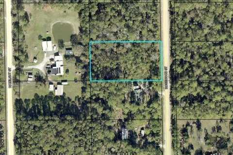 Terrain à Bunnell, Floride № 2097099