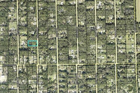 Terrain à vendre à Bunnell, Floride № 2097099 - photo 3