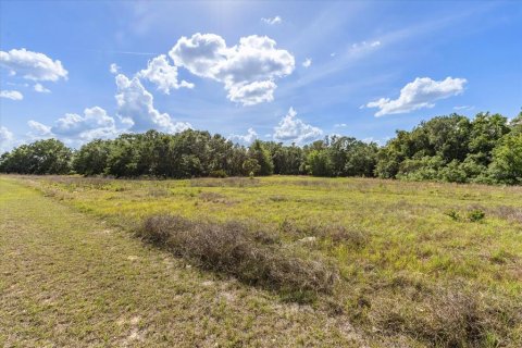 Terrain à vendre à Groveland, Floride № 1629142 - photo 6