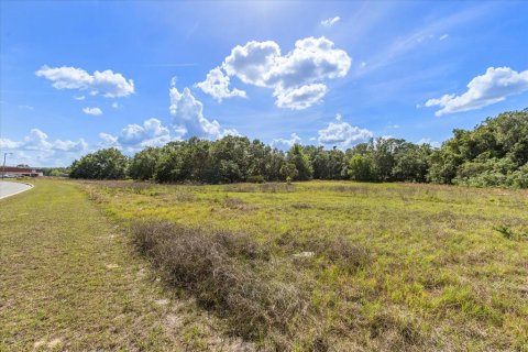 Terrain à vendre à Groveland, Floride № 1629142 - photo 5