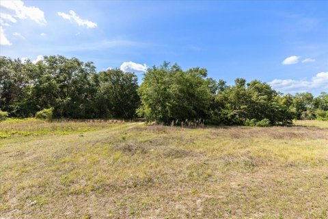 Terrain à vendre à Groveland, Floride № 1629142 - photo 3