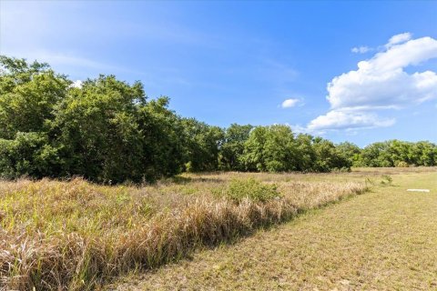 Terrain à vendre à Groveland, Floride № 1629142 - photo 4
