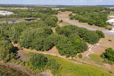 Terrain à vendre à Groveland, Floride № 1629142 - photo 20