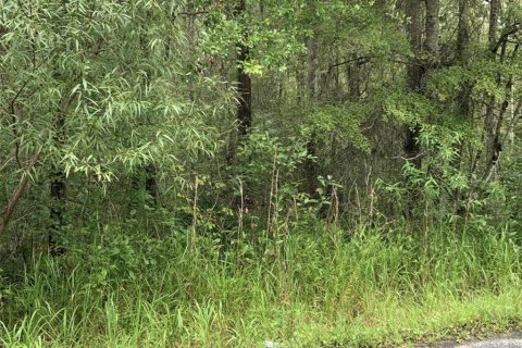 Terrain à Alachua, Floride № 2098436