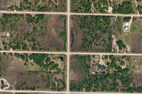 Land in Okeechobee, Florida № 2159578 - photo 2