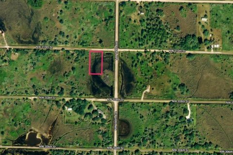 Land in Okeechobee, Florida № 2159578